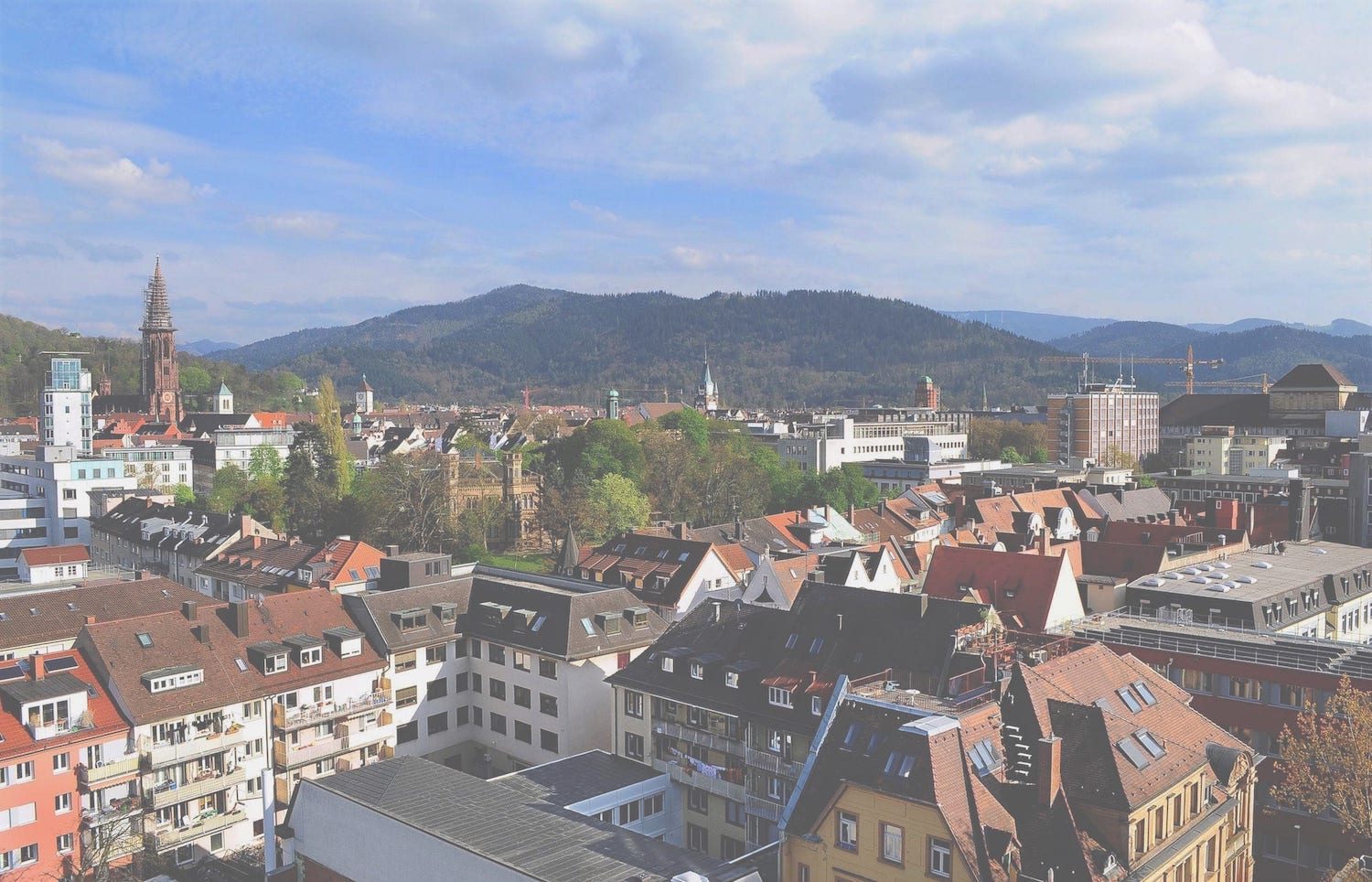 View over Freiburg